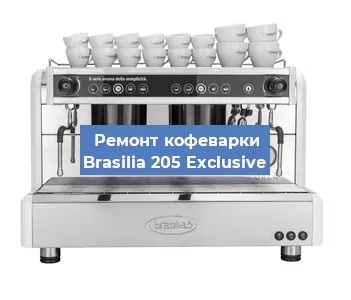 Чистка кофемашины Brasilia 205 Exclusive от кофейных масел в Воронеже